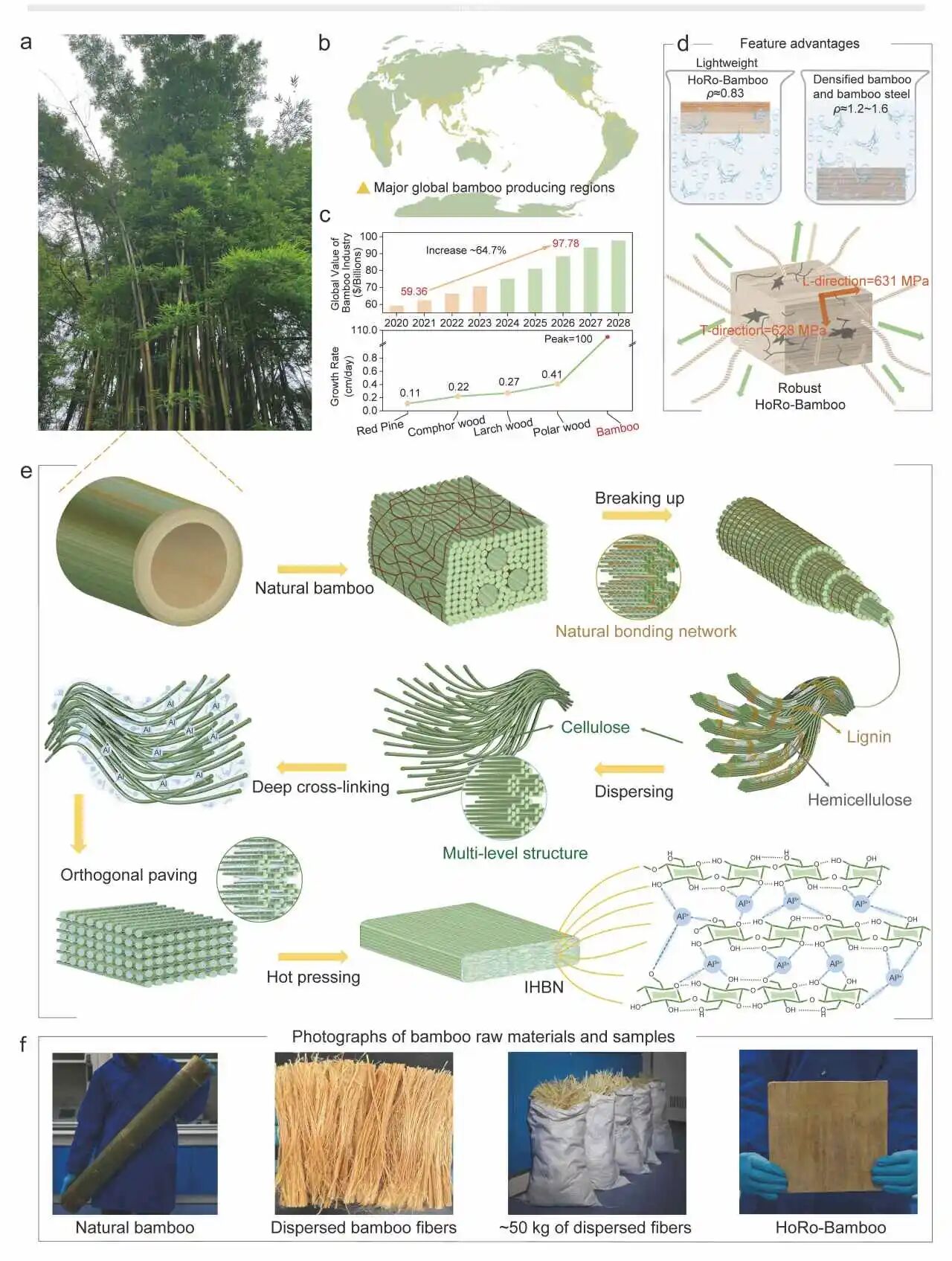 廖学品教授/肖霄副研究员 Nature Communications：通过离子-氢键网络重筑得到坚固且可持续的竹结构材料